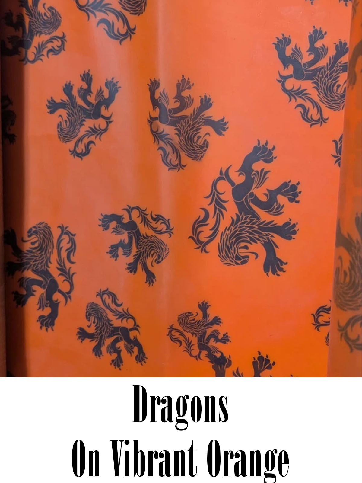 Dragons - on Vibrant Orange