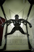 Suspension Straps