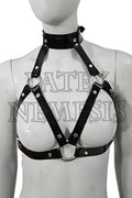 Bra Harness