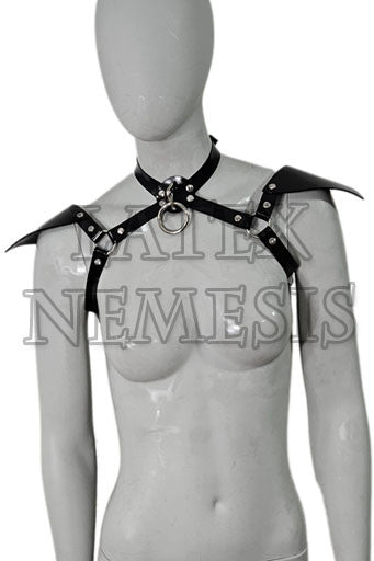 Shoulder Epilet Harness