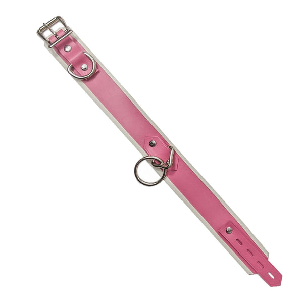Laminated Basic CollarShown 2-Tone ColorBubblegum Pink with White Edge Trim