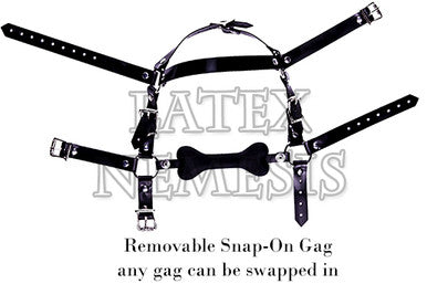 Snap-On Gag Head-harness